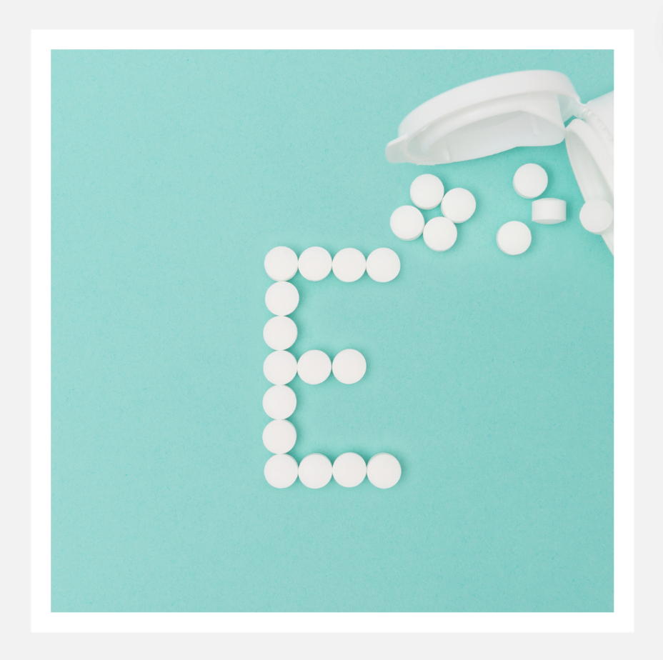 E로 시작하는 단어