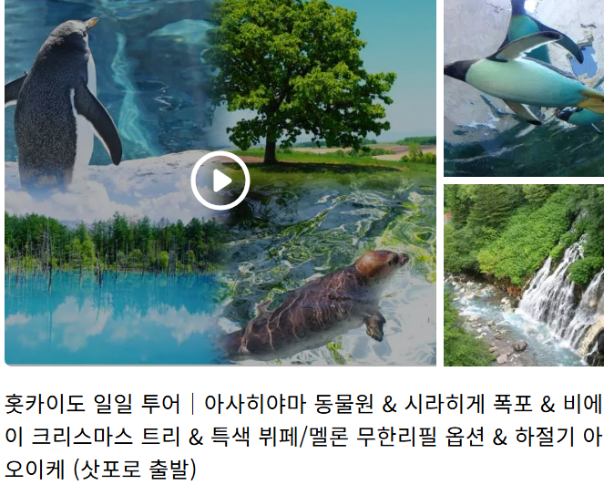 홋카이도 자유 및 패키지 여행 (+ 준비물 온천)
