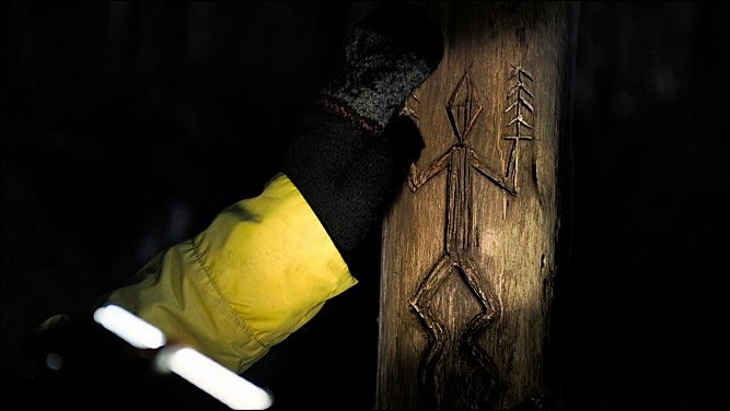 나무에 그림이 그려진 모습