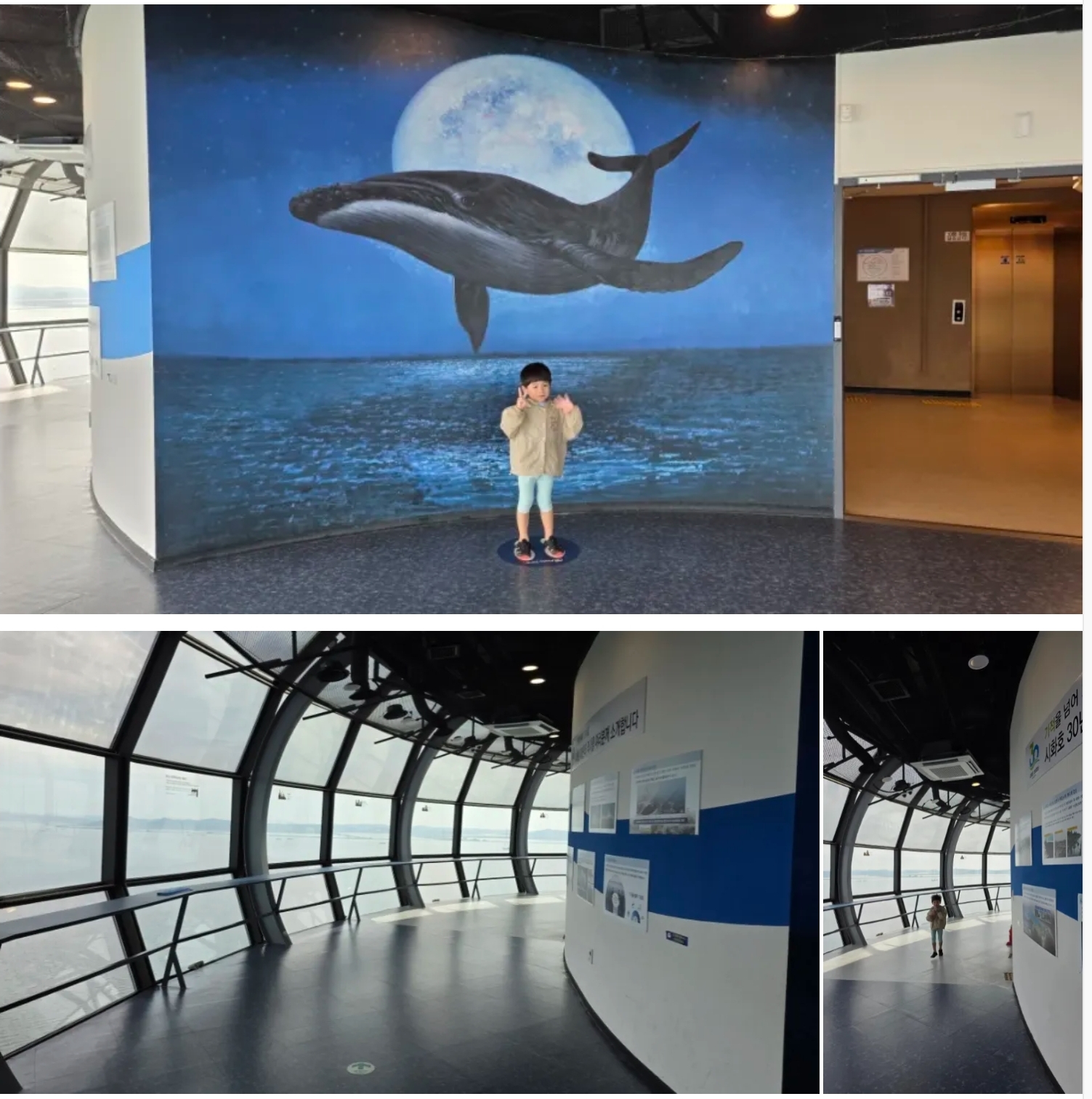 시화나래달전망대(이루나타워)