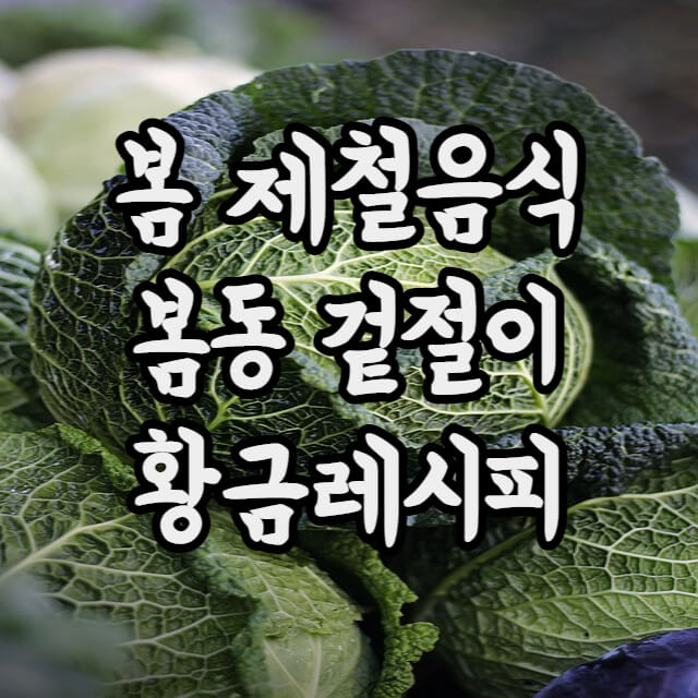 봄동-겉절이-썸네일