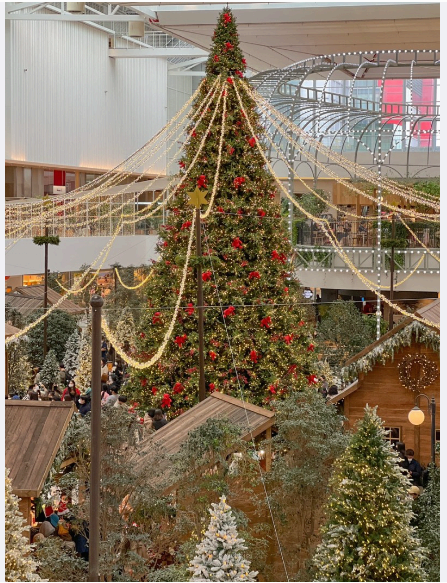 더현대 크리스마스 예약