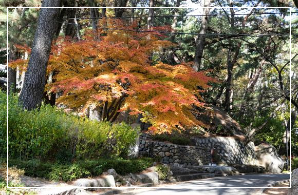 부산 금강공원 이미지 / 출처: VISIT BUSAN 홈페이지