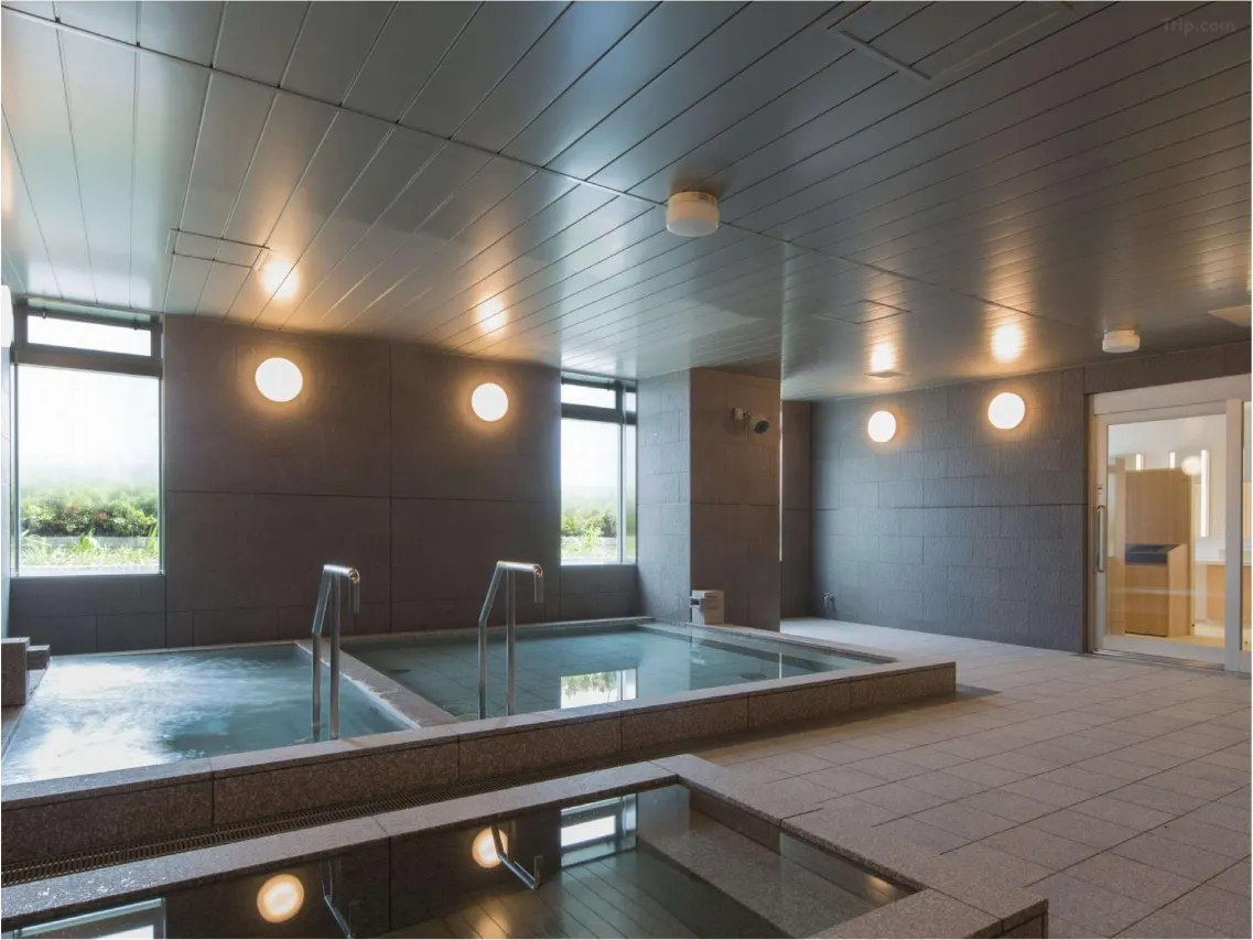 닛폰세이넨칸호텔도쿄_온천