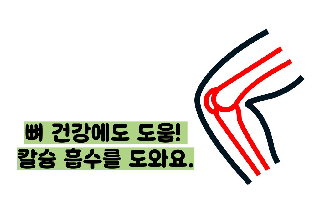 올리브오일 효능