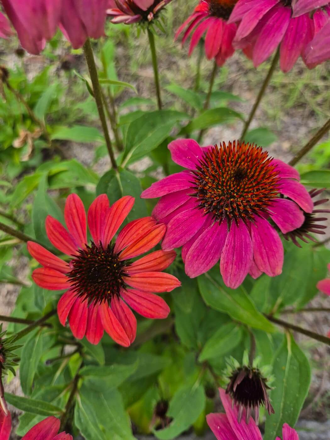 사랑 명언 모음 좋은 인연