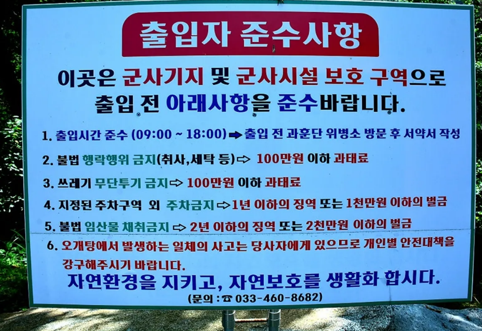 오개탕계곡,오개탕계곡 예약,오개탕 주차장,다슬기 체험,강원도 계곡 추천