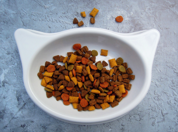 고양이 사료 vs. 간식: 올바른 급여법