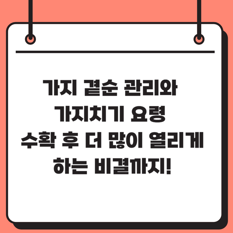 가지 곁순 관리와 가지치기 요령 &ndash; 수확 후 더 많이 열리게 하는 비결까지!