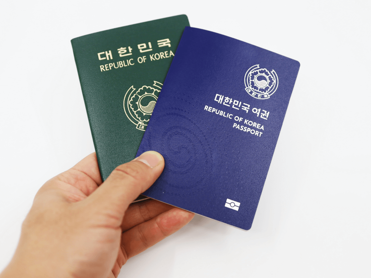 여권사진 규격