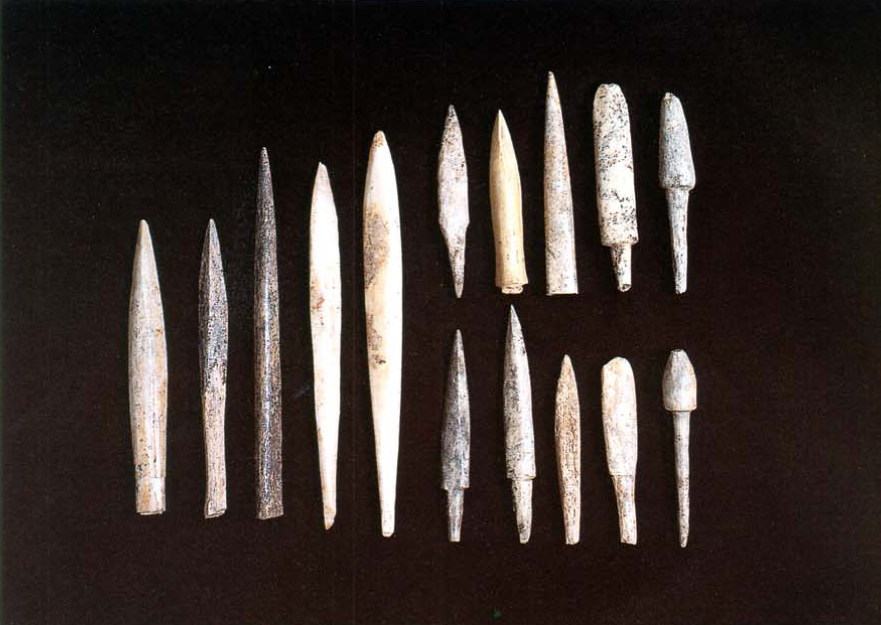 동삼동 패총 전시관