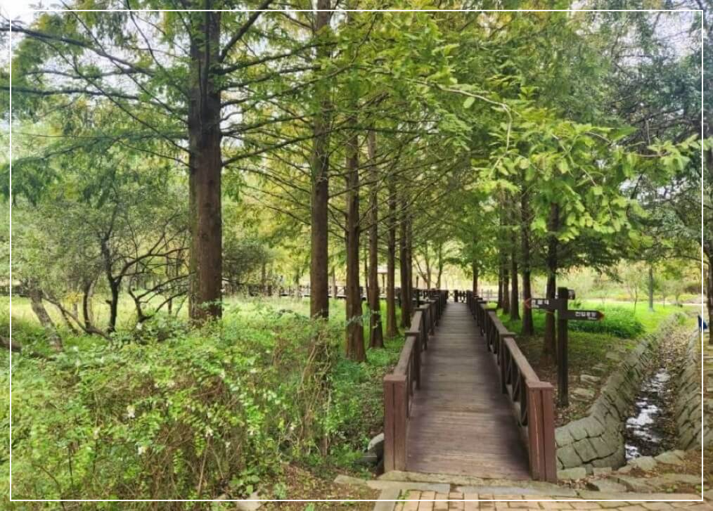 광주 가볼만한곳 베스트10 광주호 호수생태원 