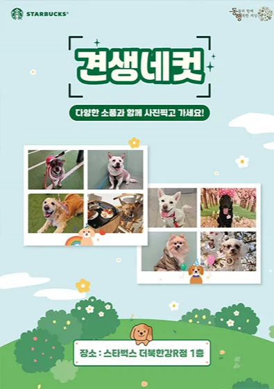견생네컷 스타벅스 유기견 입양 캠페인 놀다가시개 더북한강R점 구리갈매DT점