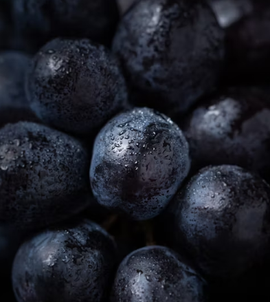 포도 효능 부작용