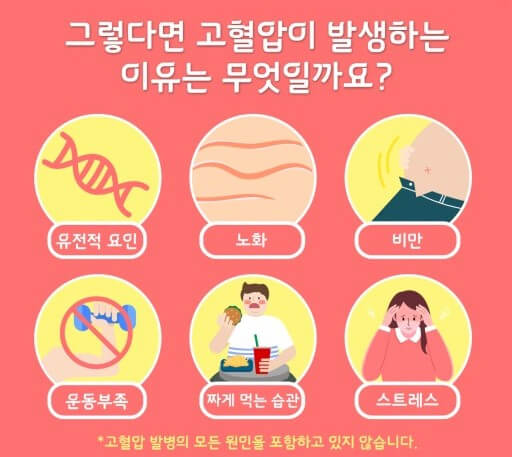 고혈압 원인