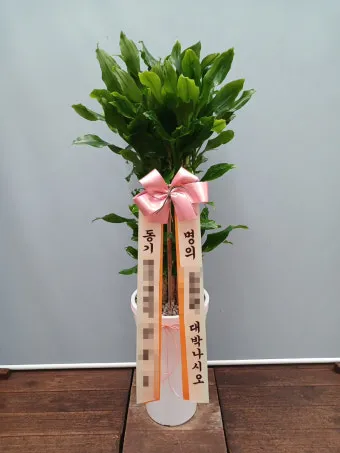 개업 축하 인사 화분 카드 문구 번창 기원 덕담 센스 있게_10