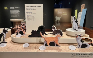 &amp;#39;요물&amp;#39; 우리를 홀린 고양이 전시회
