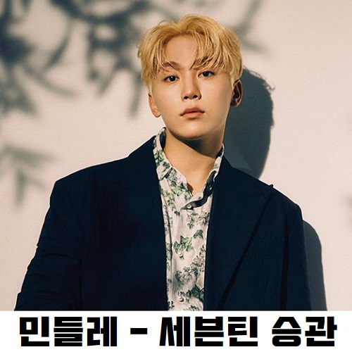 민들레 승관 노래 가사 뮤비 듣기 곡정보 세븐틴 부승관