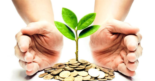 내가 가입한 보험 조회