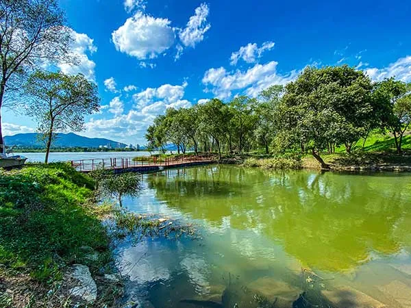 걷기좋은 숲길 50 서울 전남 경북_6