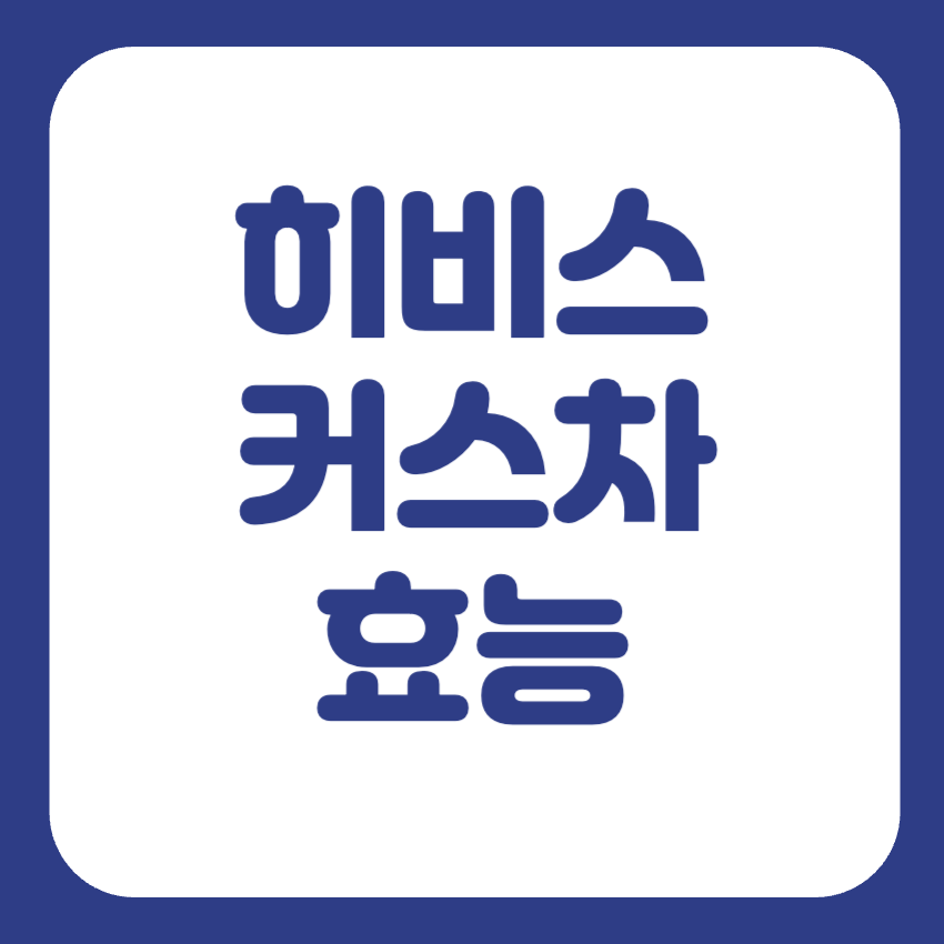 히비스커스차 효능