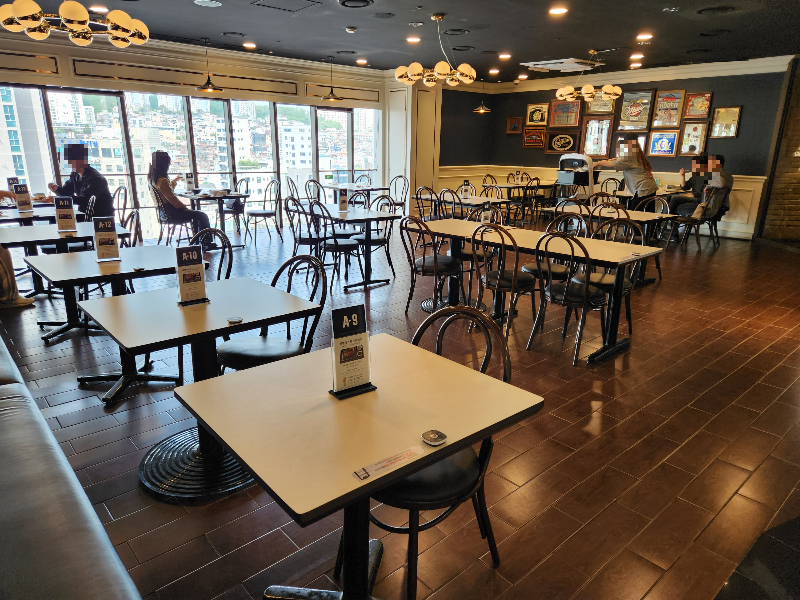 서울대 에그옐로우 애슐리퀸즈