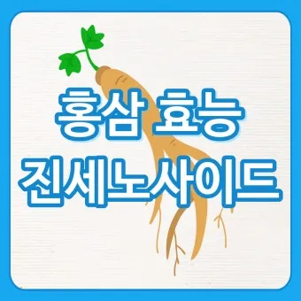 홍삼정 선물 진세노사이드 함량 제형 스틱 복용 편의 위주 선택 가이드_21