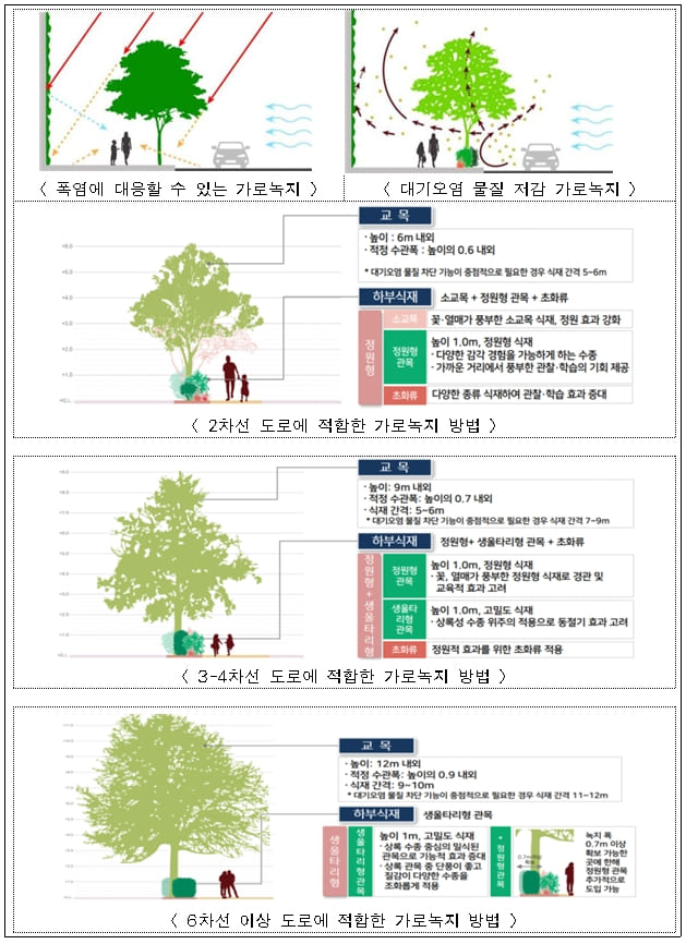 "폭염에서 시민을 구하라...도로 크기별 맞춤형 가로수 식재 방법 제안"