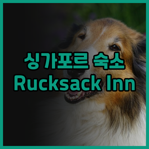 싱가포르 숙소 추천 Rucksack 
