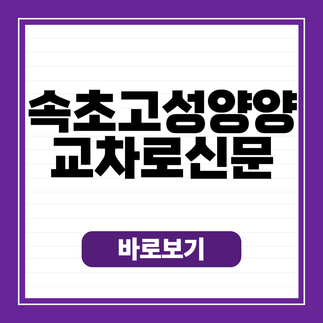 속초 고성 양양 교차로