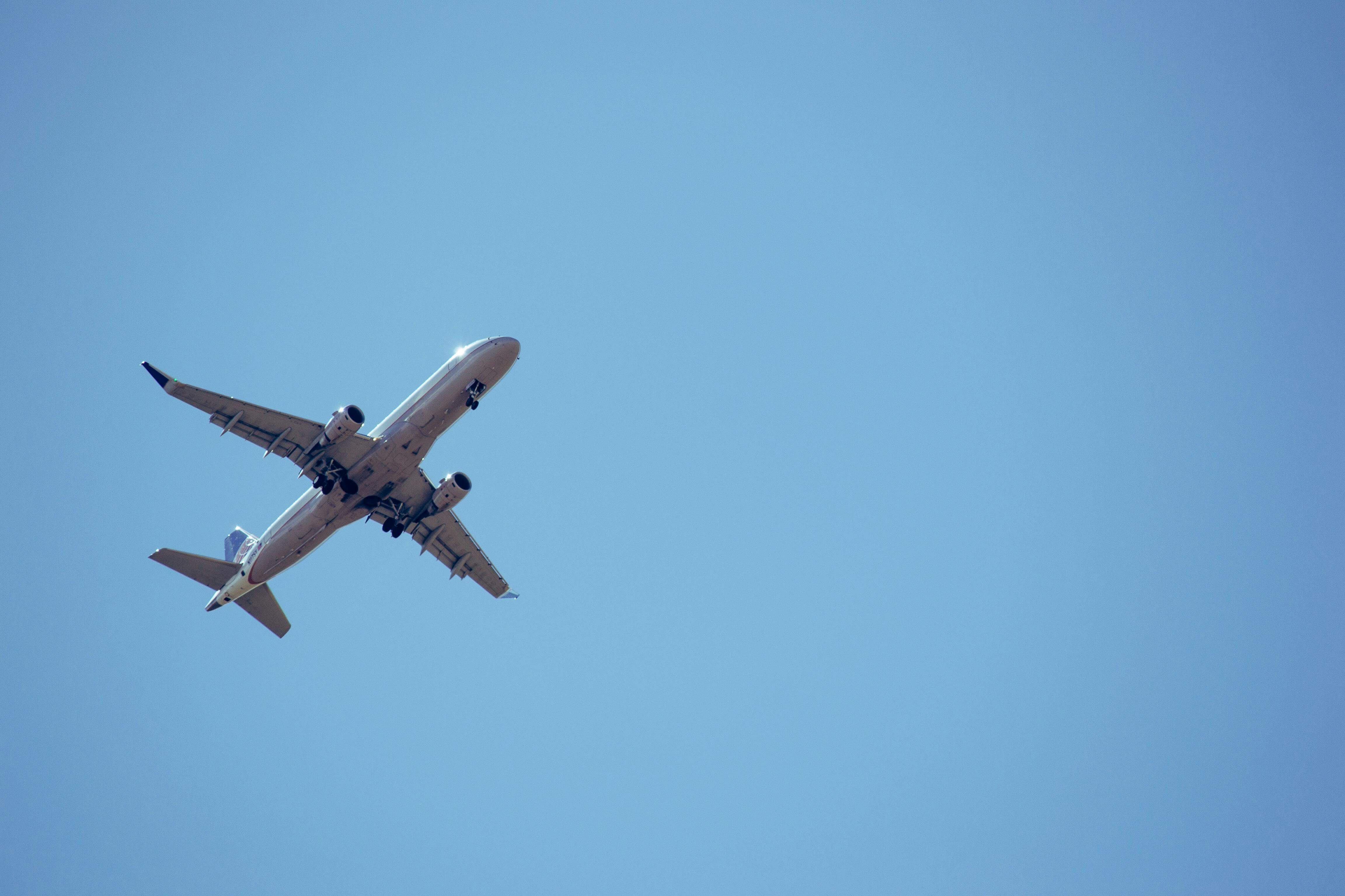 공항 리무진 캐리어 규정