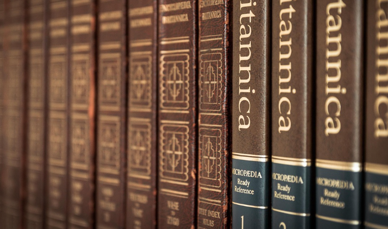 에세이 vs 자서전 작가 비교