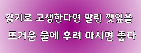 감기로 고생한다면 말린 깻잎을 뜨거운 물에 우려 마시면 좋다