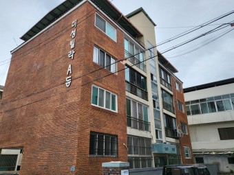 전세사기