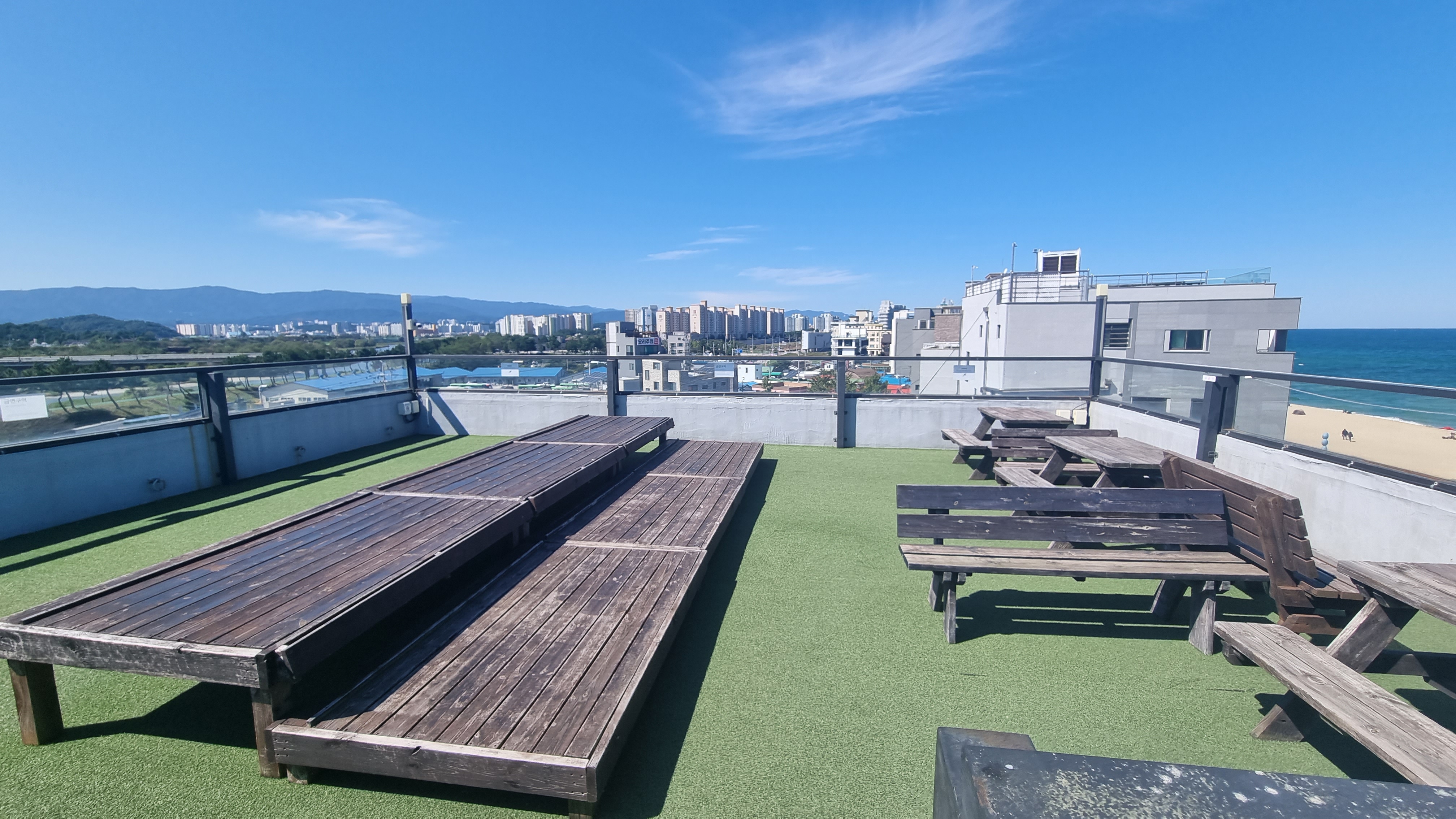 강릉 보사노바 - 카페 거리 카페 추천 애견 카페 안목 해변 가을 여행