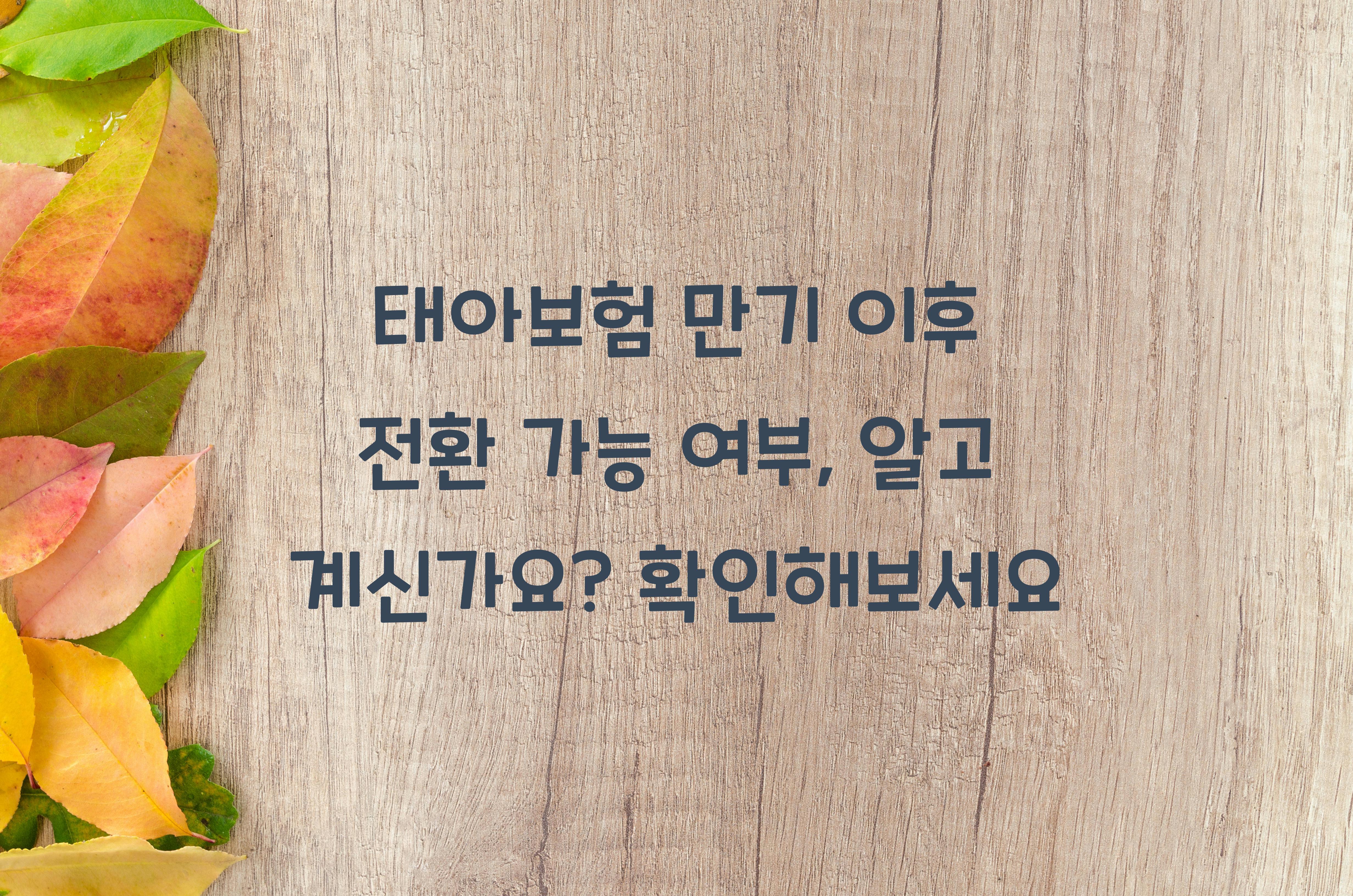 태아보험 만기 이후 전환 가능 여부