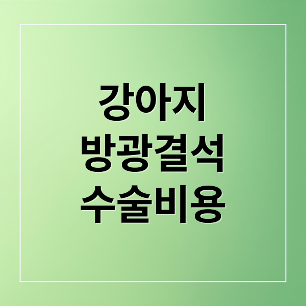 방광결석 수술 비용, 병원 선택부터 회복까지 완벽 가이드