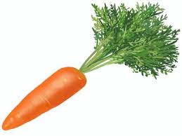 당근마켓 물건 올리는 방법