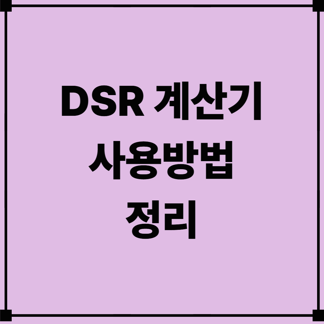 DSR 계산기 사용방법 정리
