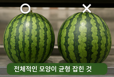 모양