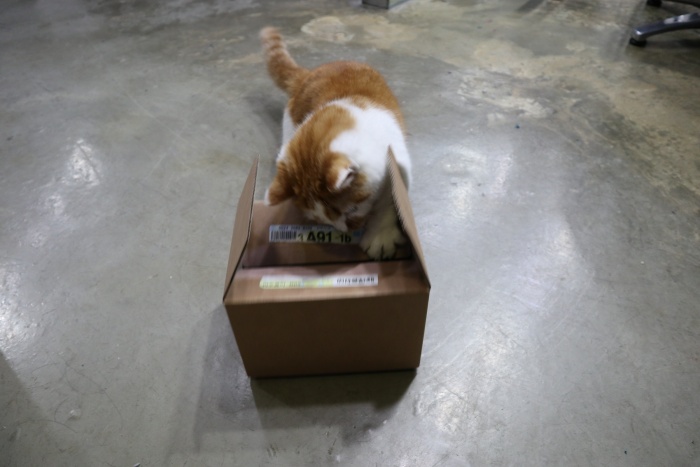 고양이셀프장난감만들기