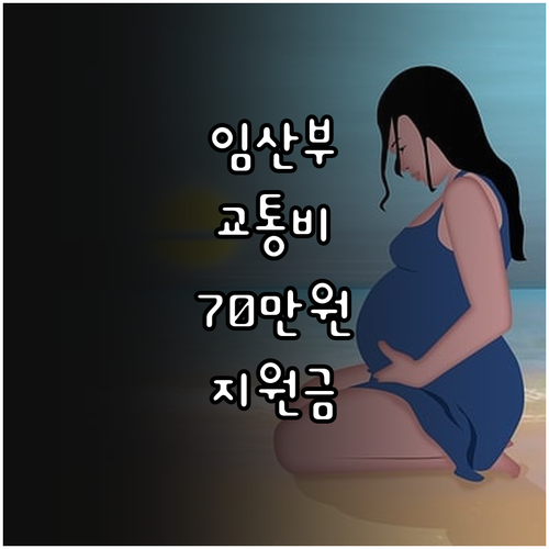 서울시 임산부 교통비 지원, 2025..
