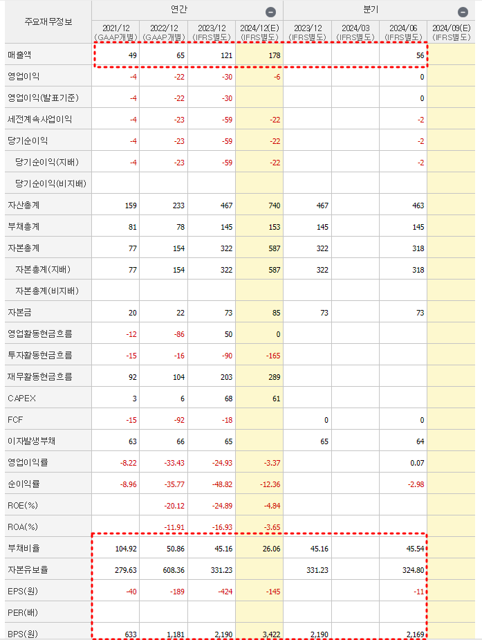 루미르 재무제표