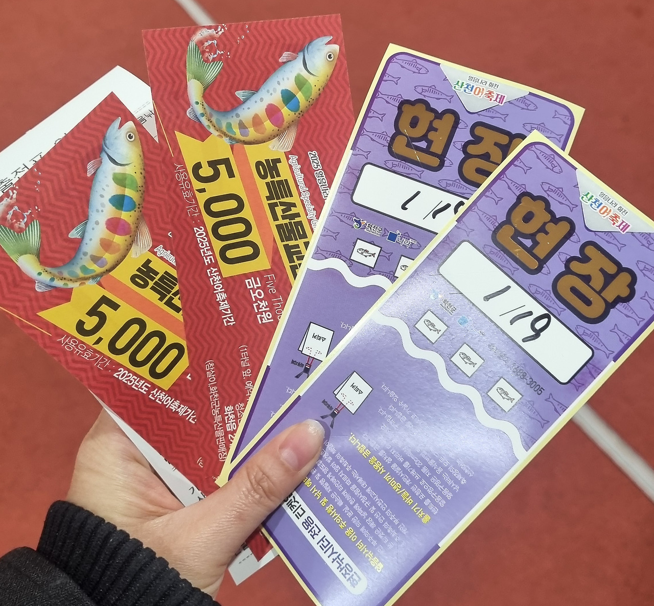 화천산천어 축제 현장티켓