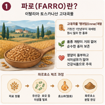 파로효소-효능-먹는법-성분-부작용-추천-제품-비교
