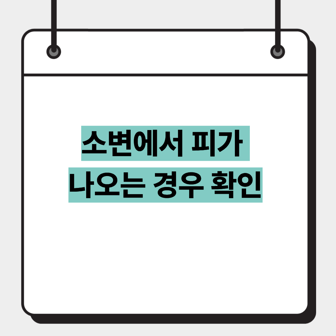소변에서 피가 나오는 경우 확인 1