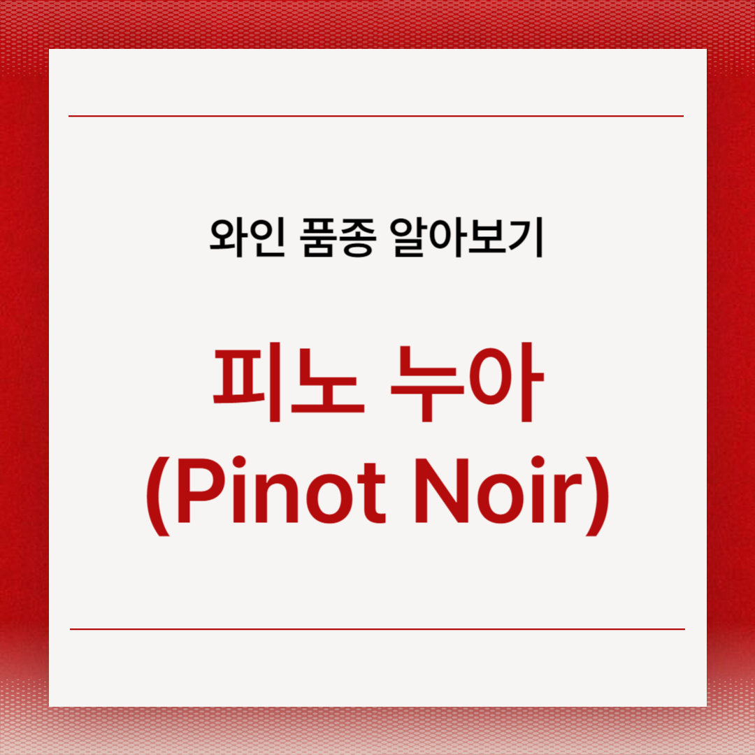 피노 누아(Pinot Noir)