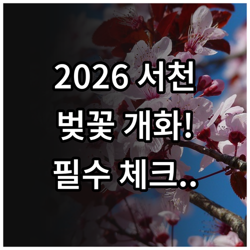 2026 서천 벚꽃 개화 현황 및 여..