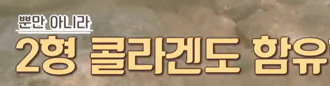 프로테오글리칸 추천 