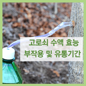 고로쇠수액 효능 부작용 및 유통기간